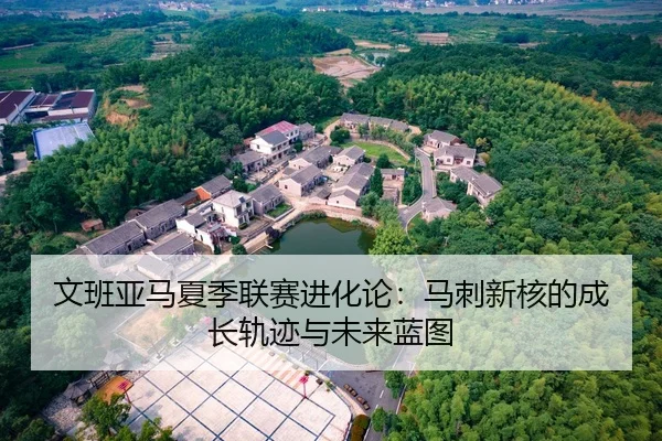 文班亚马夏季联赛进化论：马刺新核的成长轨迹与未来蓝图