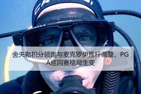 舍夫勒积分领跑与麦克罗伊推杆调整，PGA巡回赛格局生变