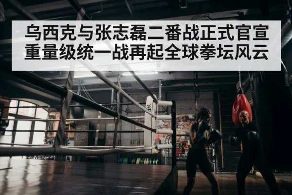 boxer training