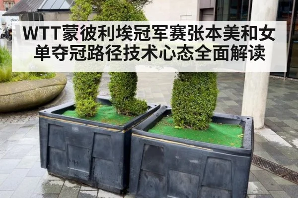 WTT蒙彼利埃冠军赛张本美和女单夺冠路径技术心态全面解读